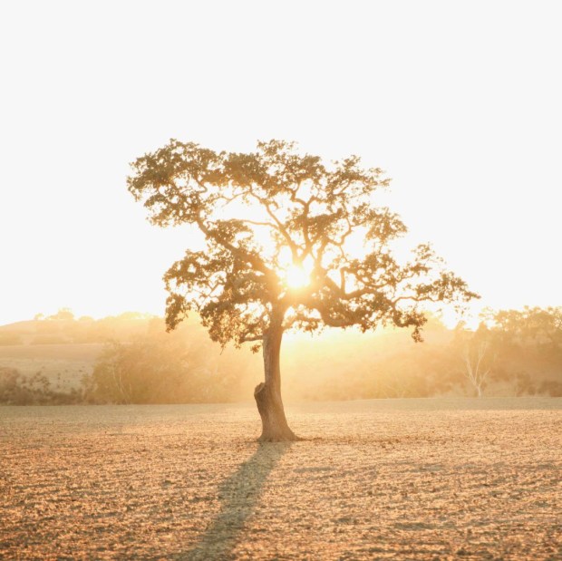 wonderfullymade-blog-images-19-1080x1079